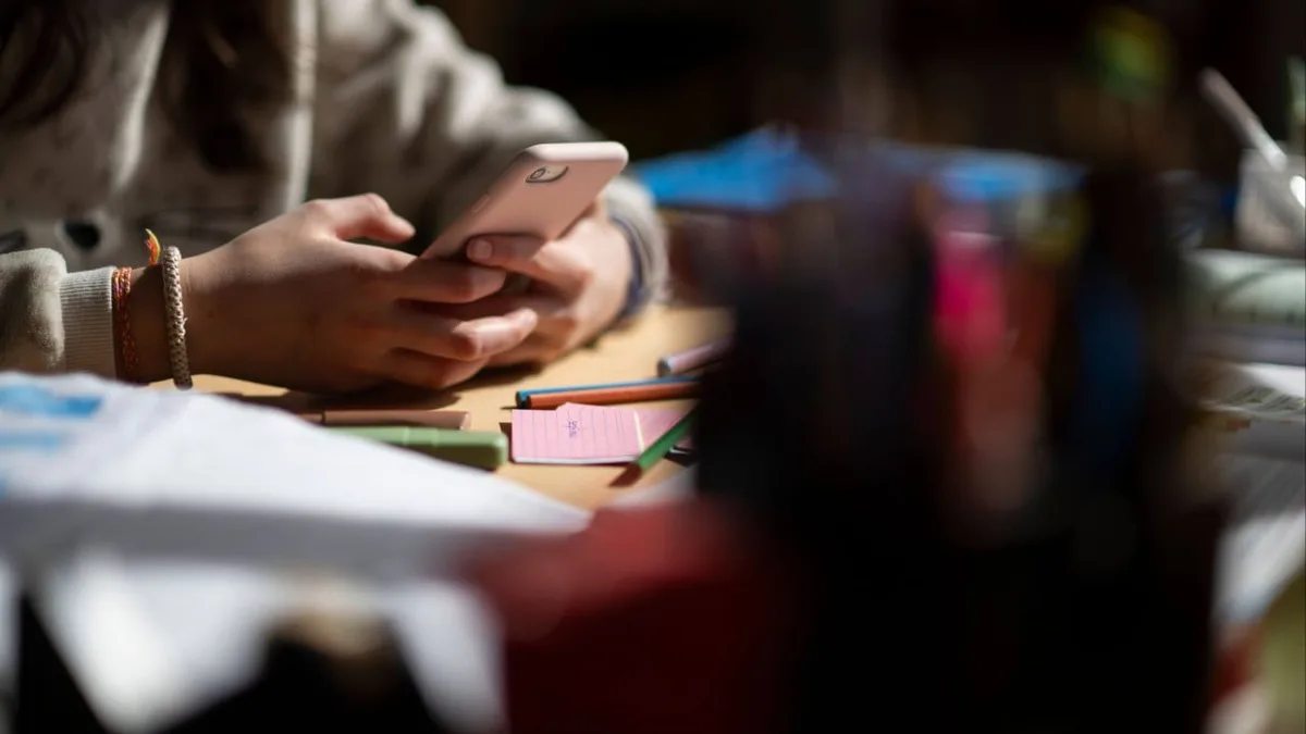 Chinese regulator drafts rules to protect teenagers from ‘intimate’ AI companions