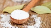 Descubra o segredo compartilhado por jardineiros experientes contra formigas e veja como cuidar de sua horta utilizando um material que seria descartado na cozinha