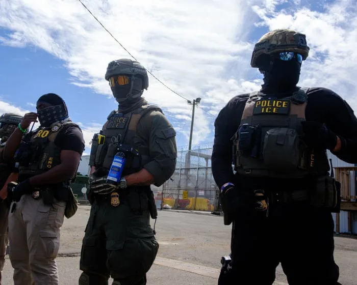 Alarm over $20m plan to supply ICE officers with electric-shock gloves