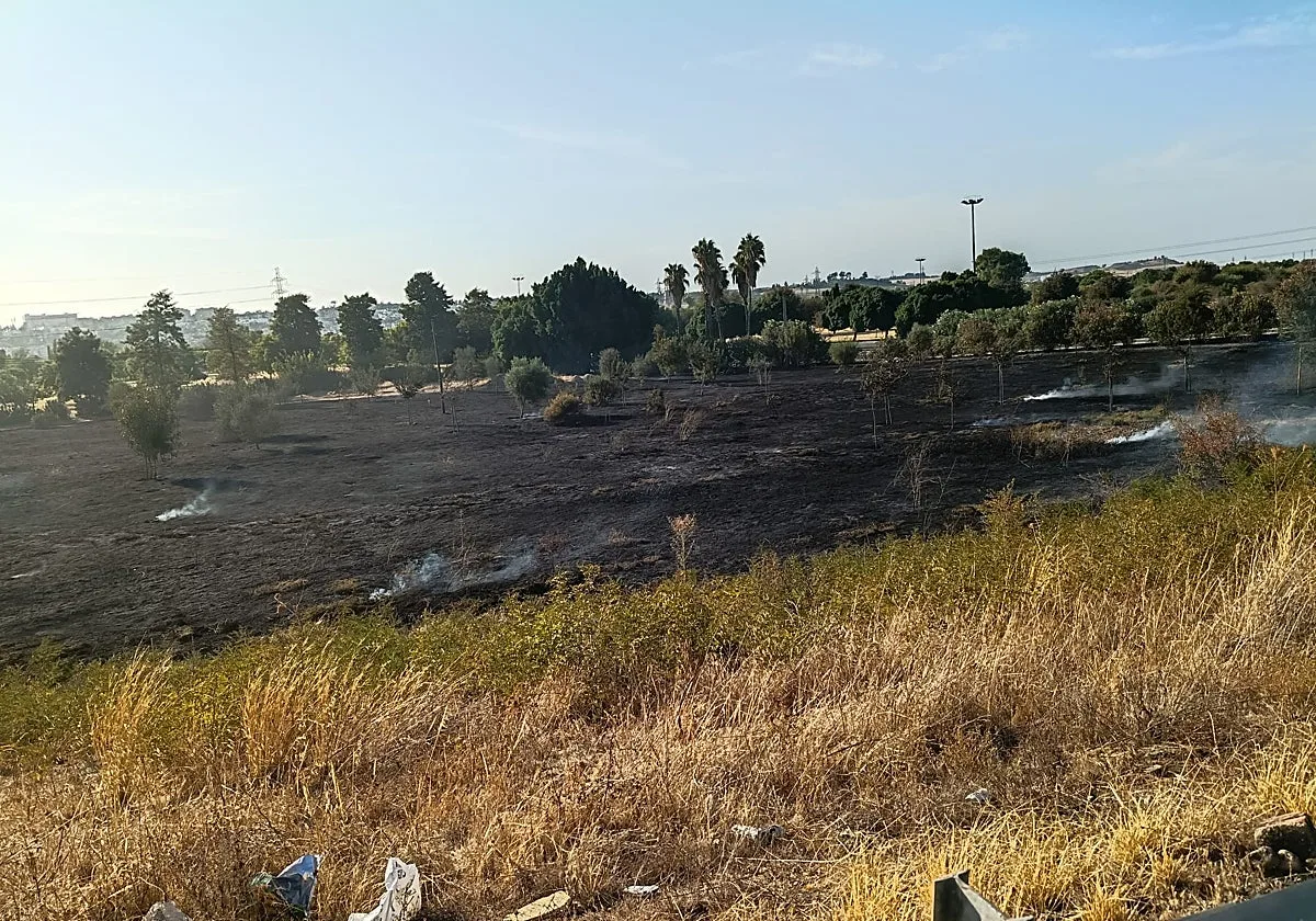 Un incendio calcina los nuevos árboles plantados junto al parque Vega de Triana