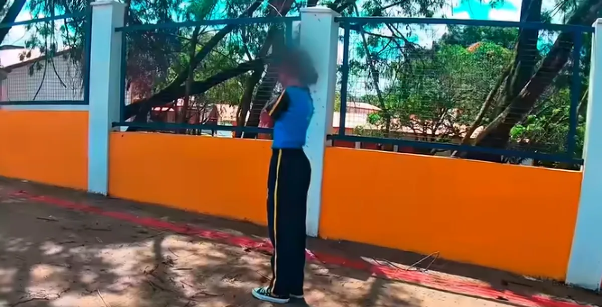 Garota de 12 anos é atacada por abelhas em BH e é levada para CTI