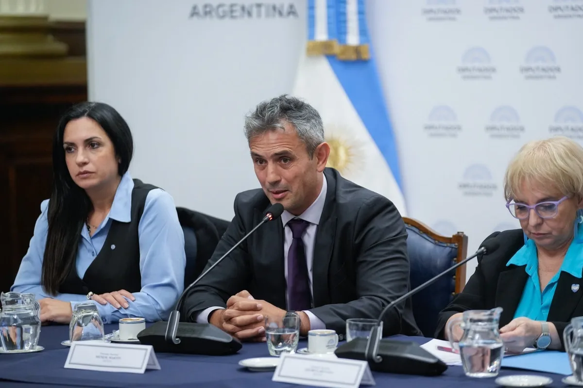 LLA convocó a tratar el proyecto de Propiedad Privada y busca reincorporar límites a la venta de tierras a extranjeros