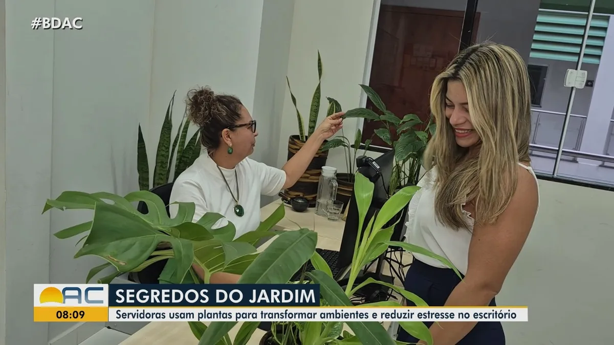VÍDEOS: Bom Dia Acre desta sexta-feira, 9 de outubro de 2026