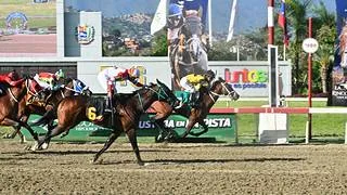 Olvídate de los favoritos en la última: Vamos a ligar esta tablita en los acumulados para el 5 y 6 en La Rinconada