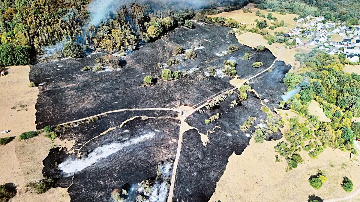 Überblick: Waldbrände in Deutschland