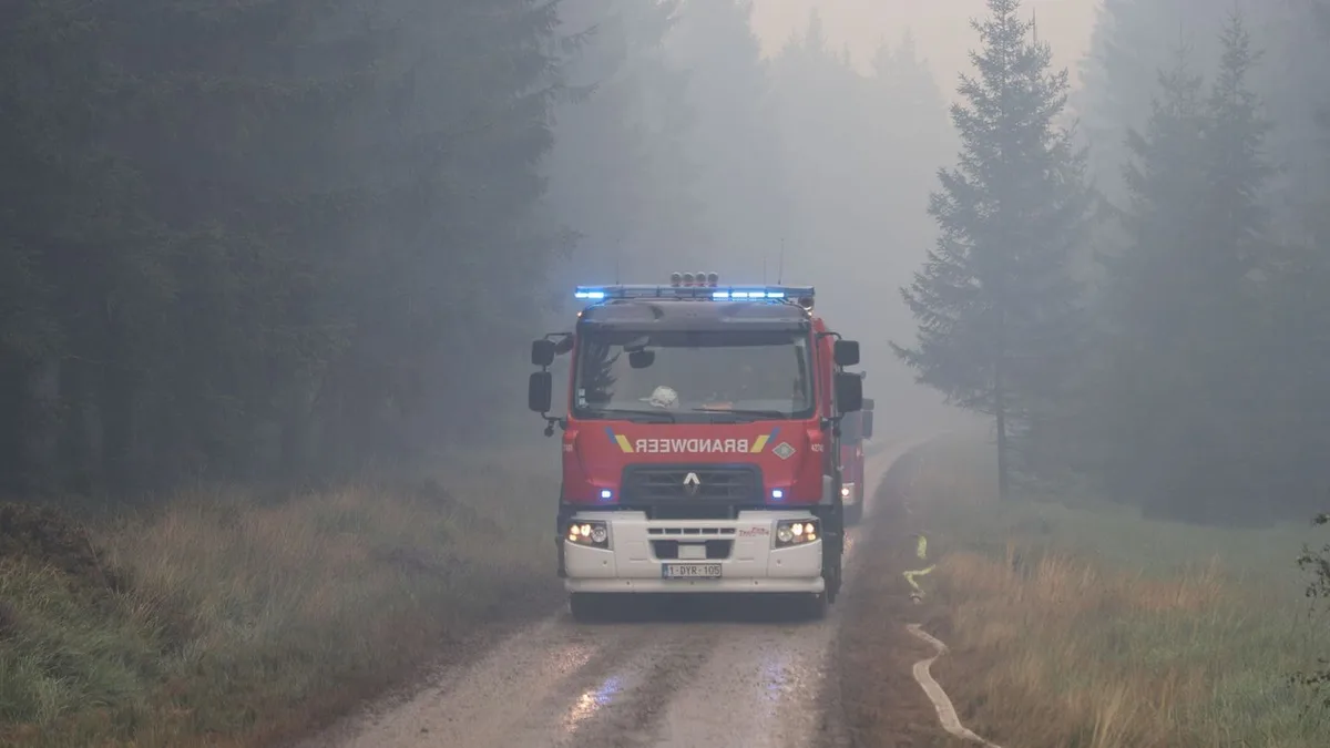 Naturschutzgebiet in Flammen: Waldbrand im Hohen Venn tobt weiter - Brandgeruch bis Köln