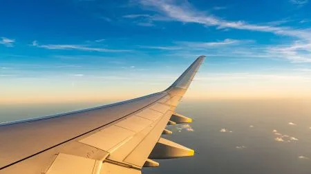 Reisebranche: BSI rät wegen Amadeus-Lücken zu Vorsicht bei Early-Check-in & Co.