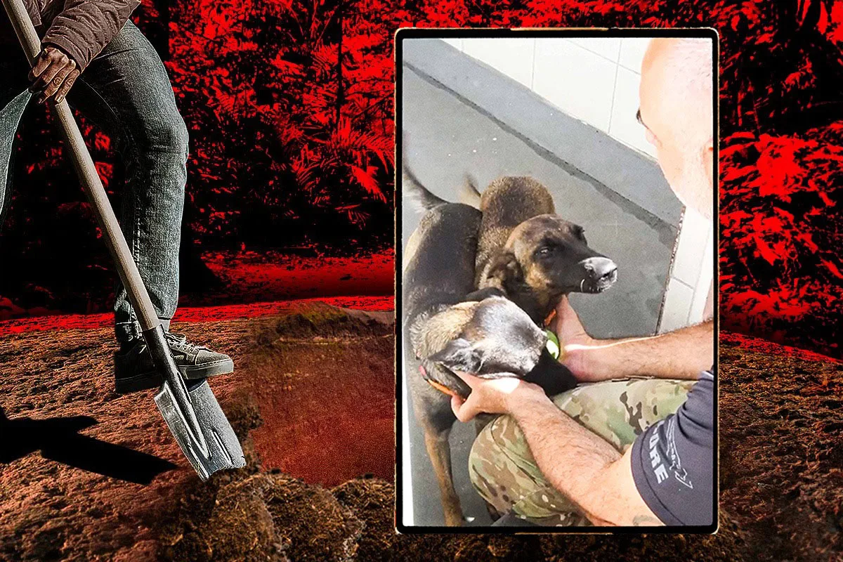 Cães vão ajudar PCERJ a encontrar corpos em cemitérios de facções