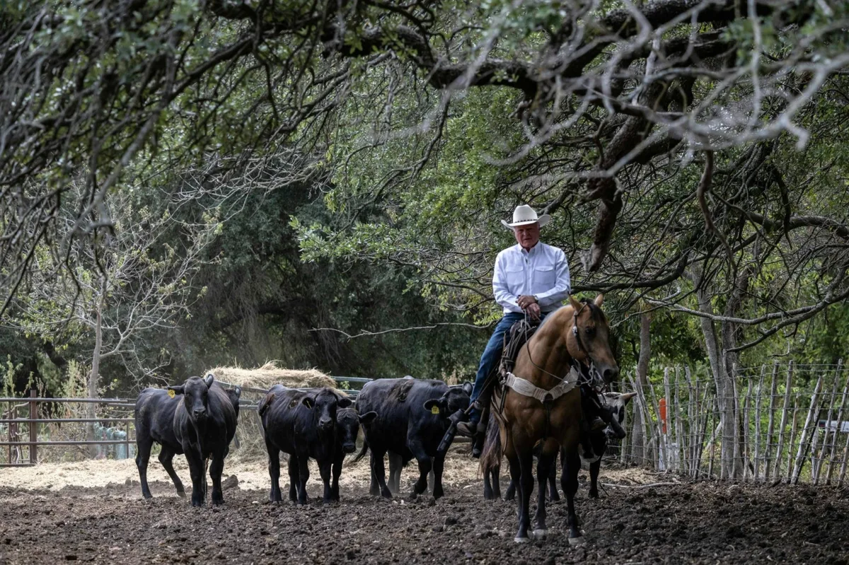 Trump’s beef policies irk Texas ranchers, testing their loyalty