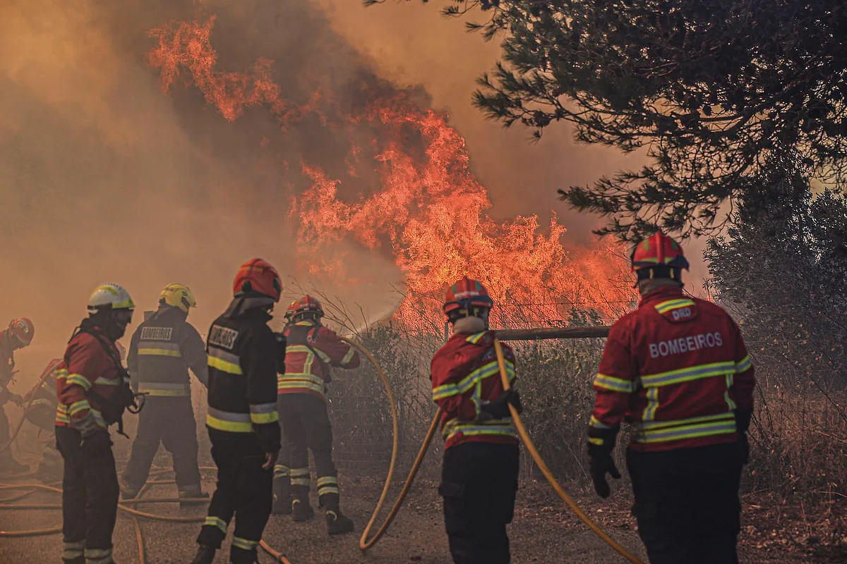 Cerca de 270 bombeiros já foram feridos no terreno desde o início do ano