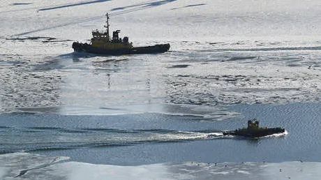 Arctic route saves time and costs for Indian shippers – CEO