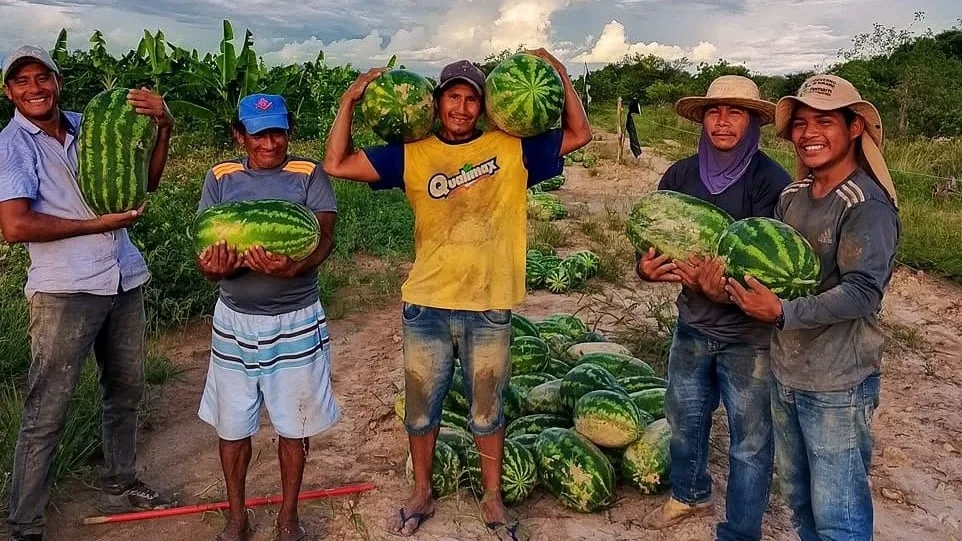 Mais de 134 mil pessoas são beneficiadas pelo cooperativismo em Roraima, aponta levantamento