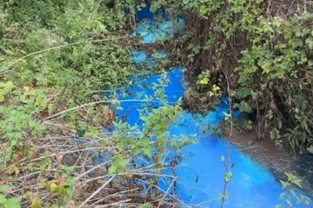 ‘Do not swim’ warning issued at Exmouth Beach after water turns bright blue