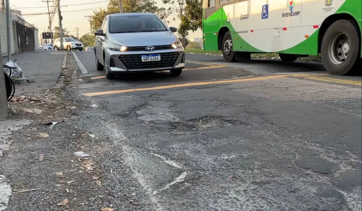 Buracos, árvores e mato alto: veja os problemas que mais levam moradores de Campinas a fazer reclamações no 156