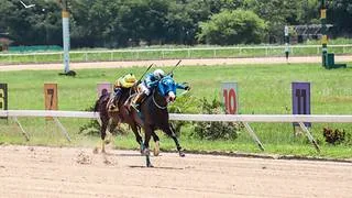 Datos de última hora para el Hipódromo Nacional de Valencia 29-8-2026