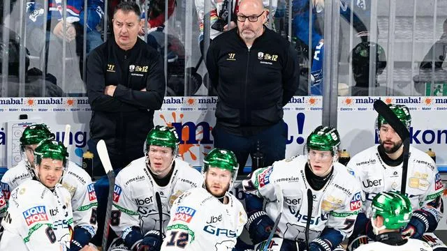 Deutsche Eishockey Liga: Spitzenspiel in Köln: Eisbären hoffen auf Neuzugang Foudy