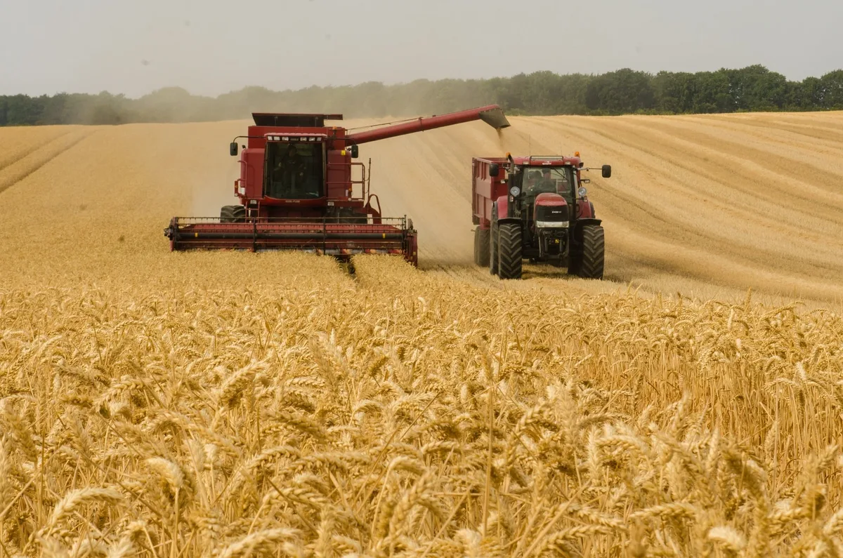 Agropecuária cresce 2,8% e impulsiona PIB, que avança 0,5% no 2º trimestre de 2026