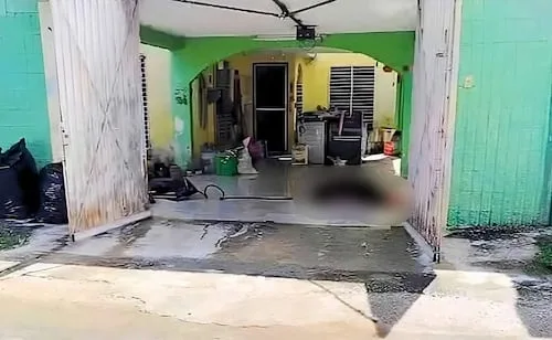 Mujer muere tras ataque de abejas en fraccionamiento de Mérida; hay otras dos personas afectadas