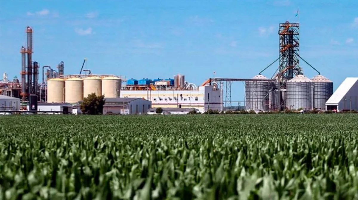 “Un punto de inflexión”: empresarios del agro destacaron el avance de la nueva ley de biocombustibles en el Congreso