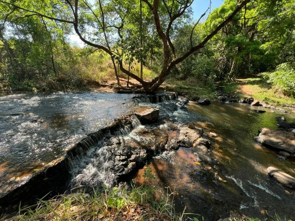 Quem visita também cuida: Céuzinho terá mutirão ambiental