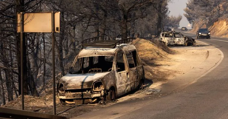 Greenpeace pede mil milhões para prevenir incêndios