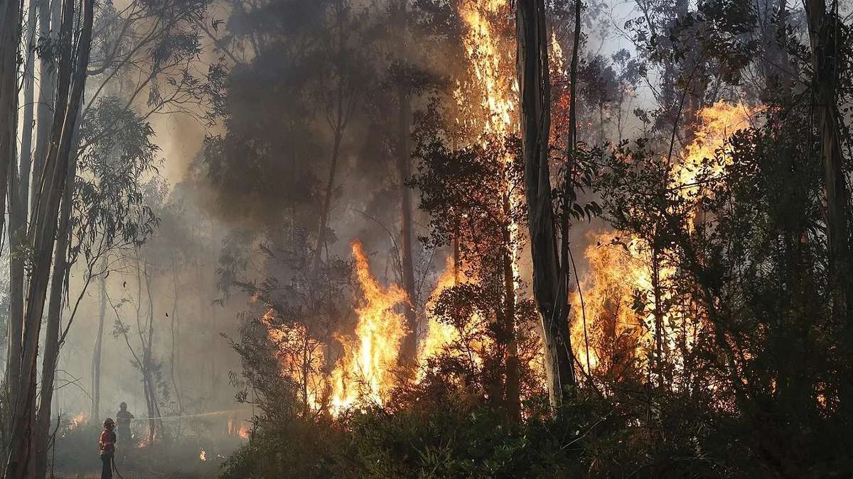 40 alunos evacuados na Trofa devido à proximidade das chamas