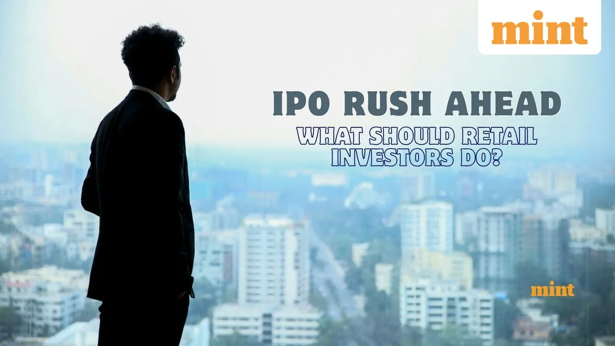 IPO rush ahead: What should retail investors watch out for? DSP's Jay Kothari explains