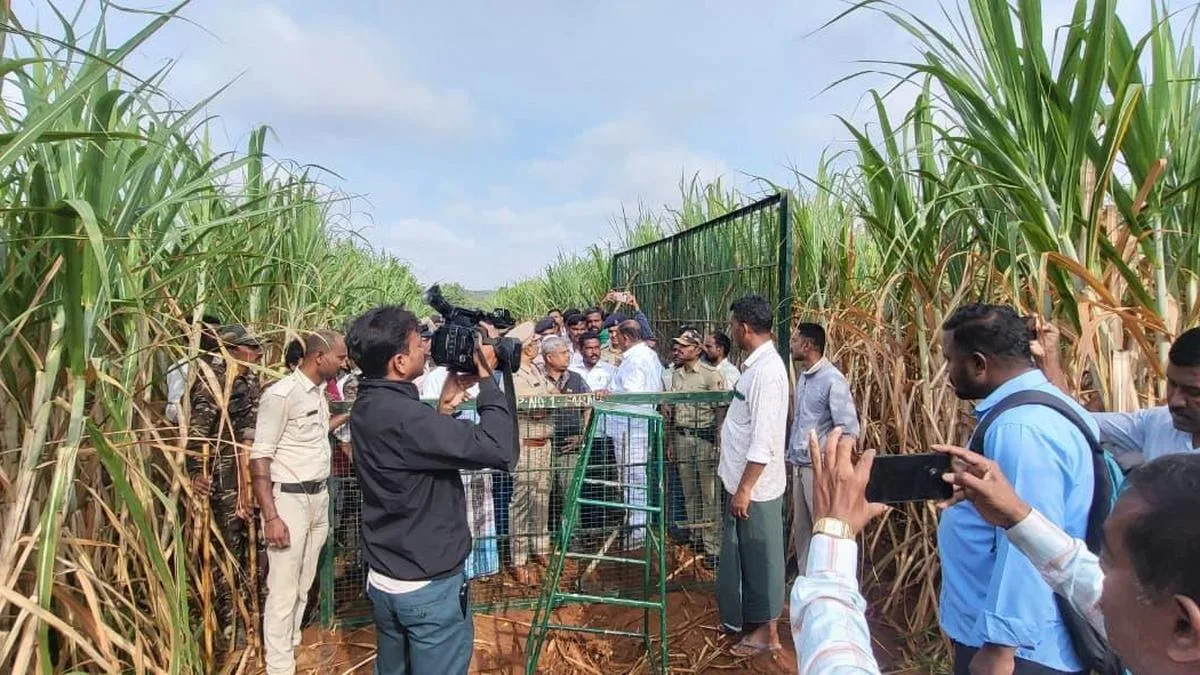 Kumki elephants join search for wild animal that killed man in BRT Tiger Reserve