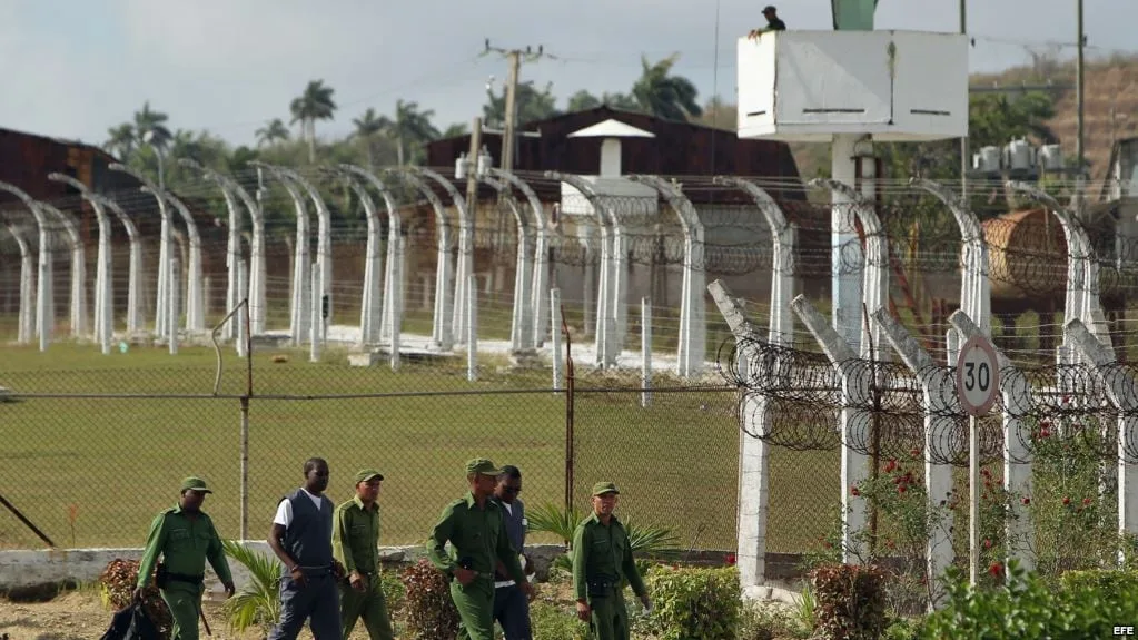 La ONG Cubalex denunció 17 muertes en cárceles de Cuba en 2026 por falta de atención médica