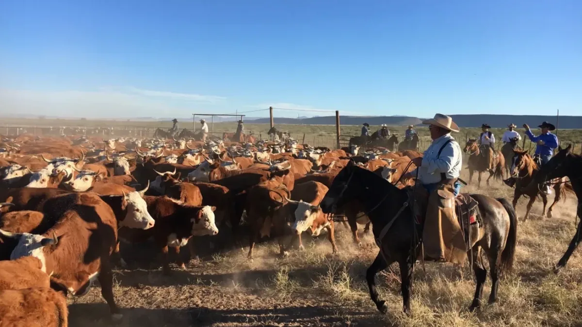 Texas family ends 8-year fight over 65,000-acre ranch worth at least $60m
