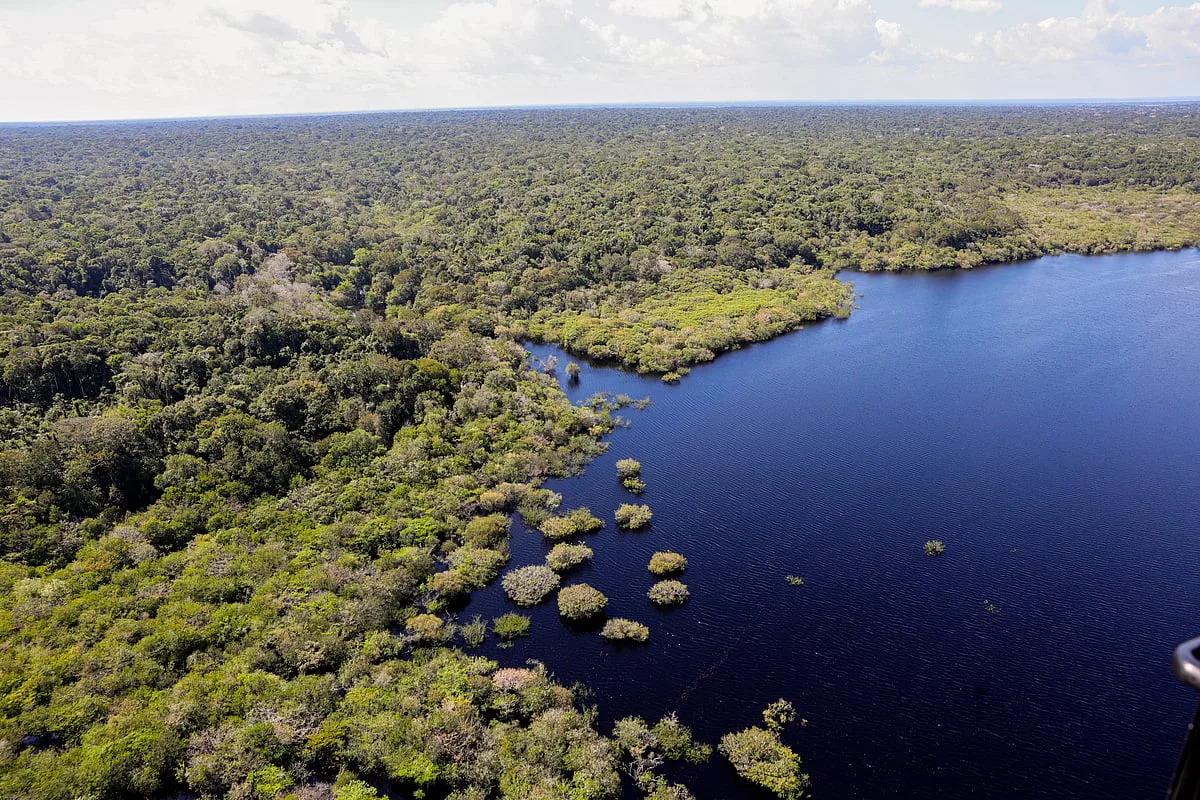 Congresso brasileiro terá sete em cada dez parlamentares contra agenda ambiental