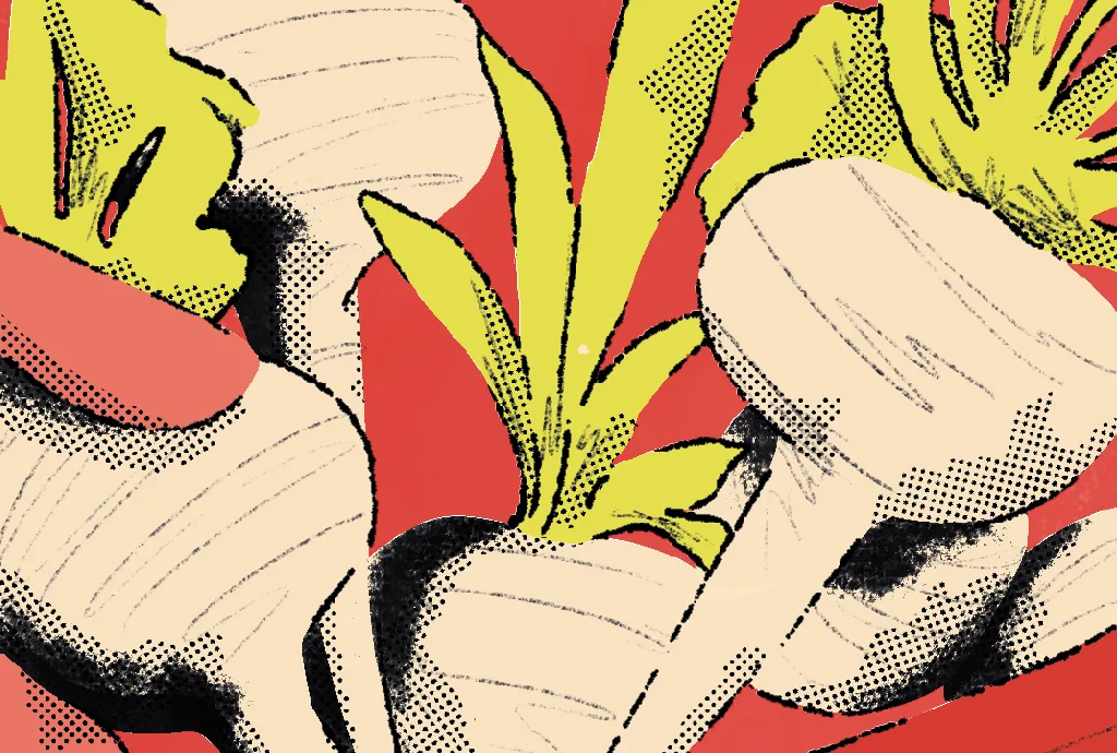 Maca peruana e menopausa: o que podemos aprender com saberes ancestrais