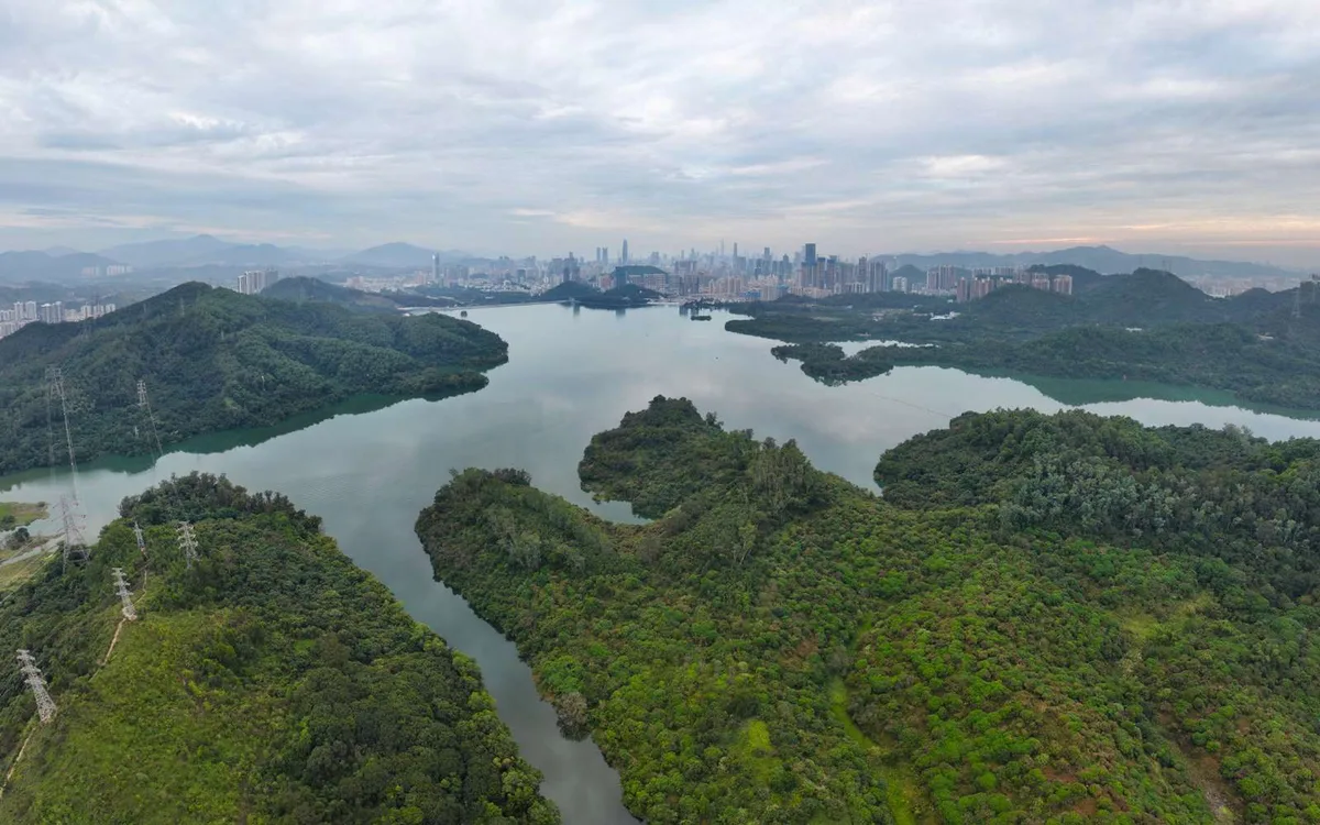Une promenade hors du temps : en Chine, ce musée qui se fond dans la nature nous fait traverser l’histoire de la Terre