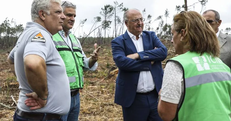 20 mil camiões de madeira retirados após Kristin