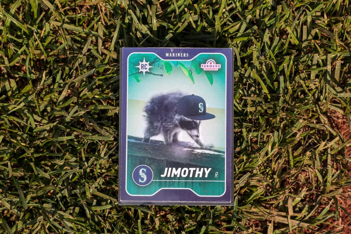 The inspiring survival of Jimothy, the hunchbacked raccoon who conquered Seattle
