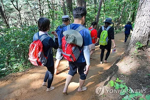 강원 맨발걷기길 31곳 '토양환경 안전'…중금속 기준치 이내