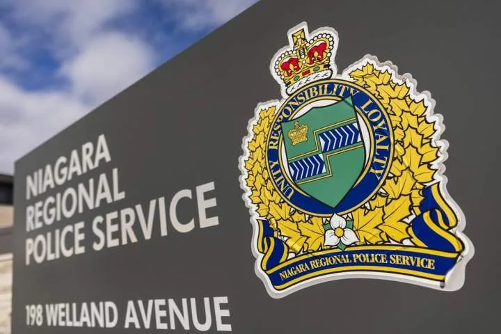 Niagara police renew call for help solving case of 8 horses stabbed last year
