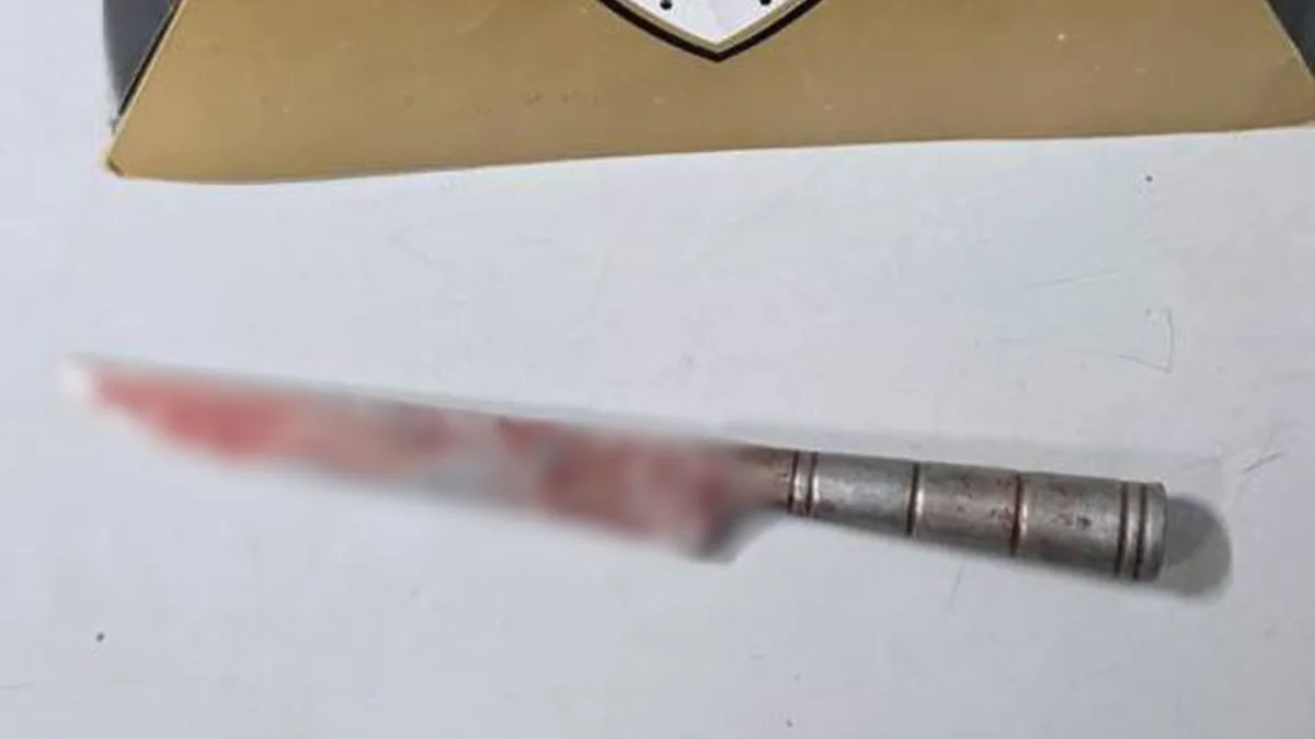 Homem que matou colega em discussão por pedaço de carne tem prisão preventiva decretada para garantia da ordem pública
