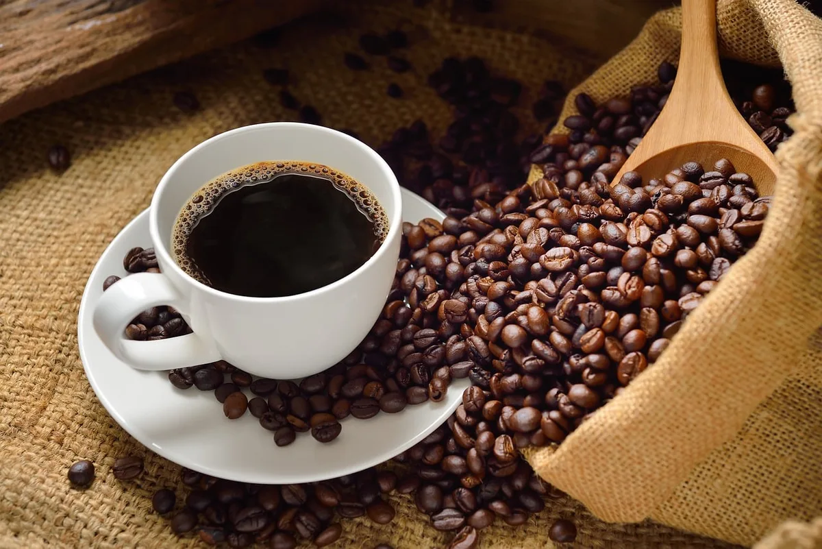 Exportações de café registram o segundo melhor início de safra da história