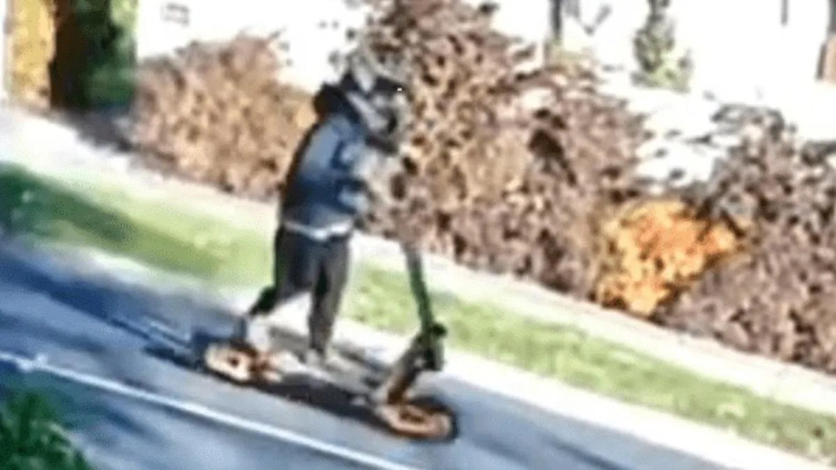 Man, 21, arrested after allegedly repeatedly attacking 82yo in Melbourne while riding e-scooter