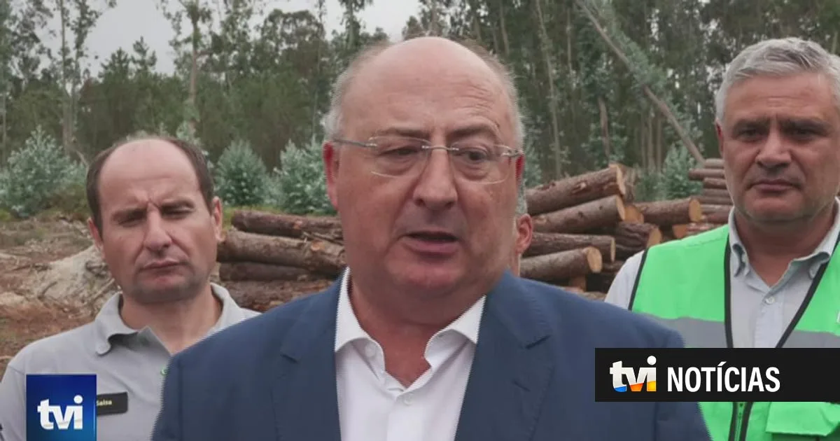 Ministro da Agricultura admite que "há pressa" na remoção das árvores destruídas pelas tempestades