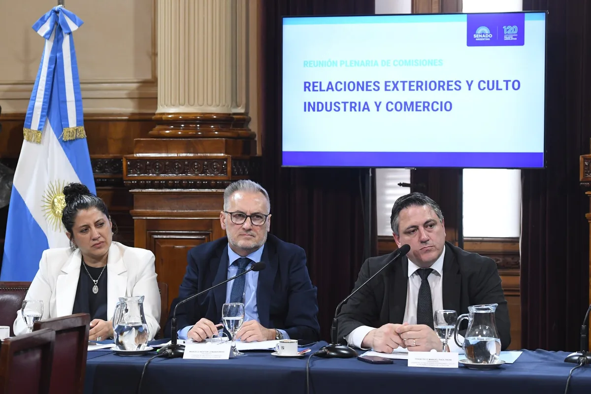 Senado: el oficialismo logró el apoyo de aliados para avanzar con el tratado de patentes