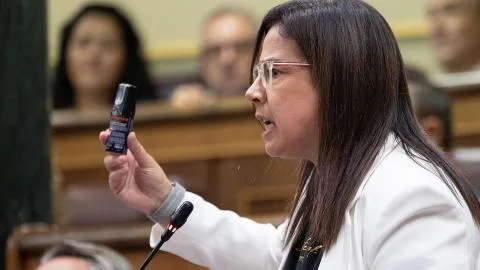 El adelanto electoral libra a Ana Vázquez (PP) de la suspensión por su episodio con el gas pimienta