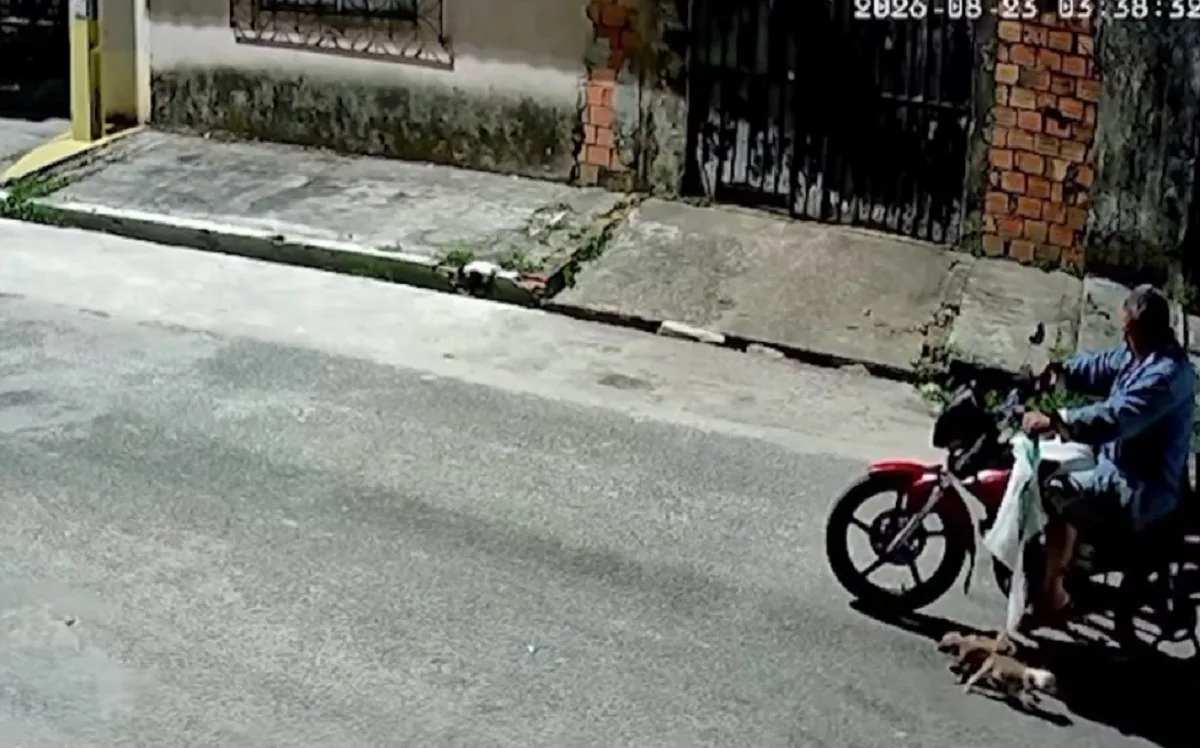 VÍDEO: homem é flagrado abandonando filhotes de cachorro no meio da rua em Belém