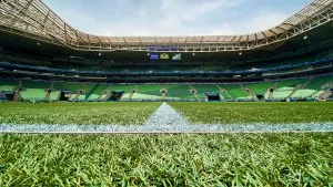 BTG fecha acordo e assume gestão do Nubank Parque, estádio do Palmeiras