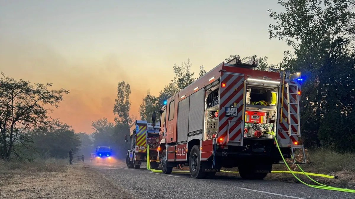 Waldbrände: Deutsche Feuerwehrleute bekämpfen Waldbrand in Serbien