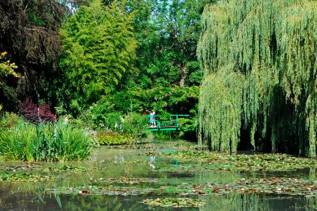 “Disneyland” à Giverny, “fille de Rimbaud” et maladie de Louis XIV : Petites histoires de France