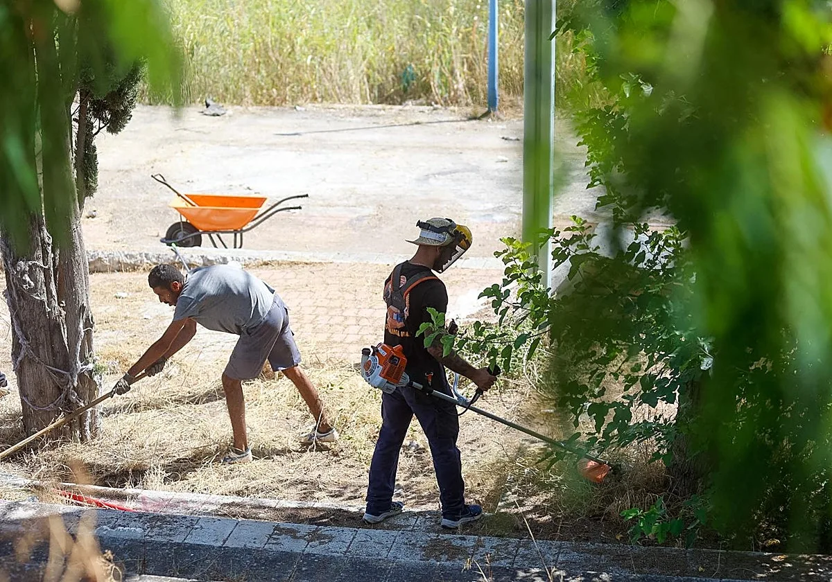 Comienzan los trabajos de limpieza del Canal de la Expo