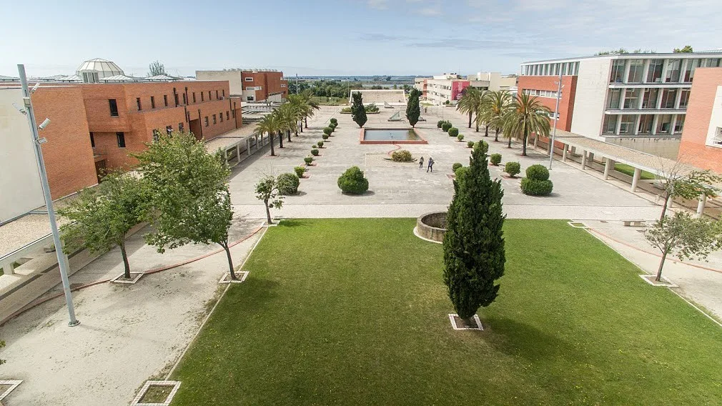 Universidade de Aveiro esgota 95,7% das vagas na fase inicial