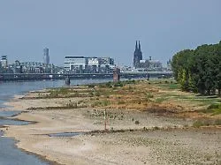 Regen in Nordrhein-Westfalen: Leichte Entspannung bei Rhein-Pegelständen in Sicht